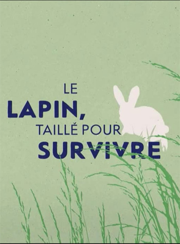 affiche le lapin taille pour survivre pour site