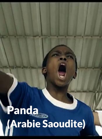 Panda