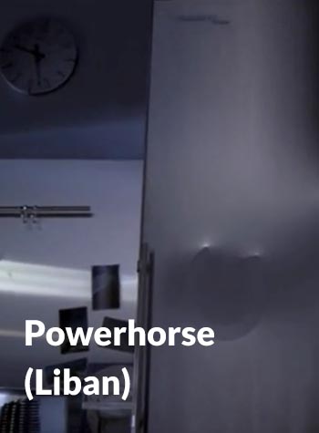 Powerhorse