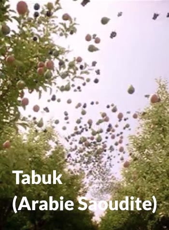 Tabuk